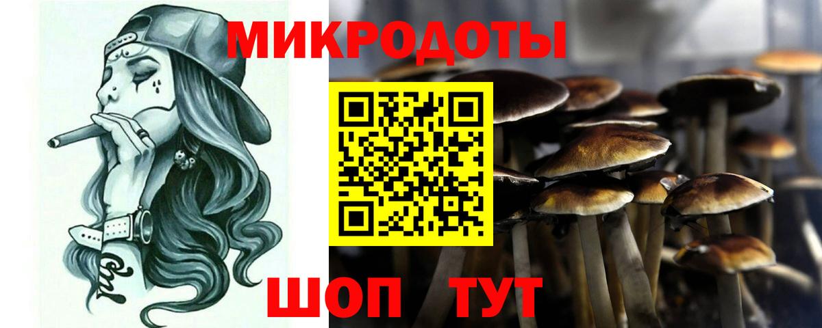 Кропоткин  дарнет шоп  Вход с VPN  Галлюциногенные грибы Magic Shrooms 